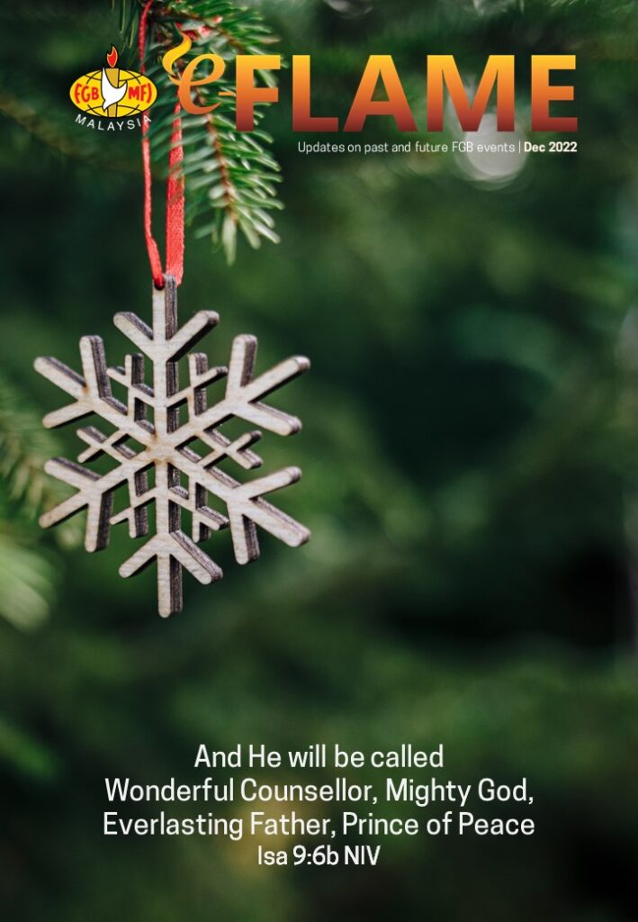 e-Flame — December 2022