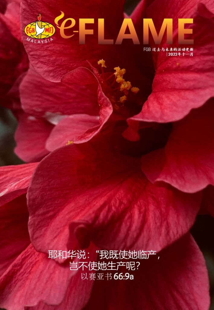 e-Flame Chinese — November 2022